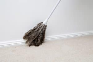 Feather duster for cleaning skirting boards
