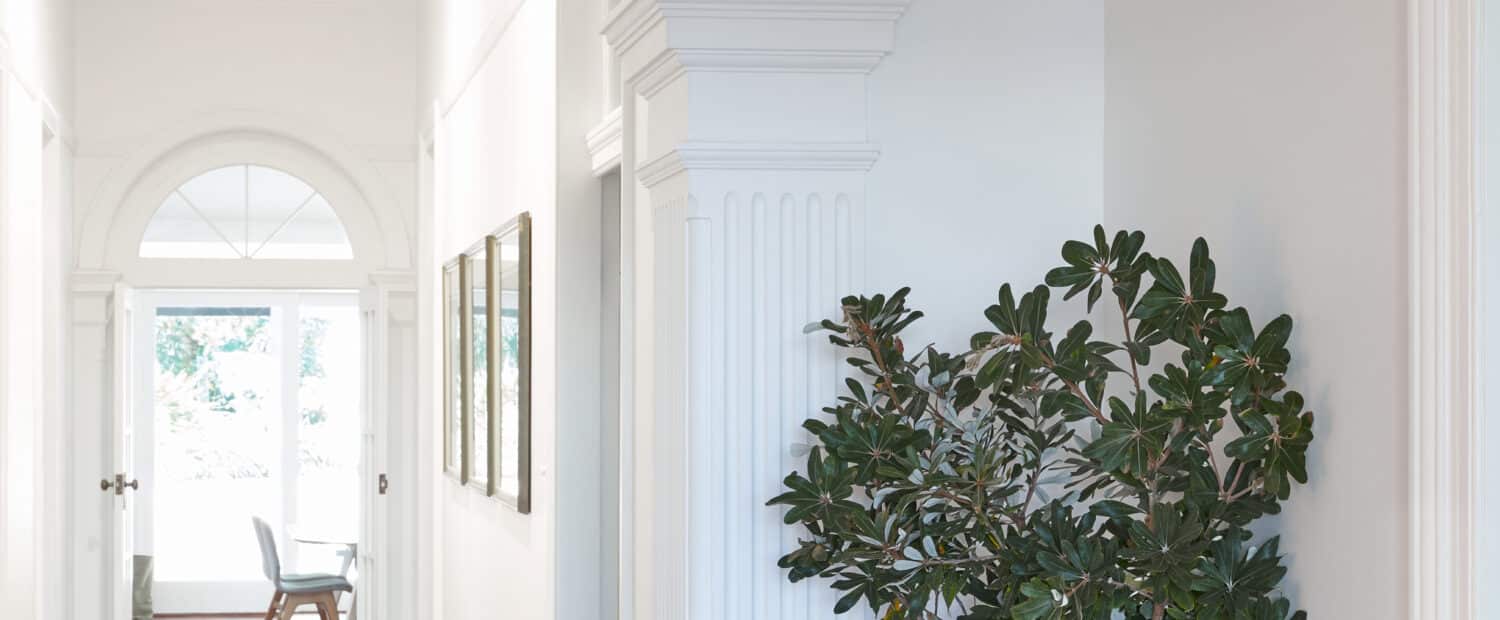 Long hallway with decorative archways and detailed mouldings—creating rhythm and visual interest in transitional zones, softened by natural light and greenery.