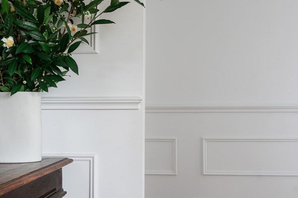 Close-up of a modern hallway with feature wainscoting panels and a plant in the foreground